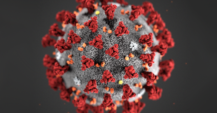 koronavirus---2871---cdc-alissa-eckert-ms-wide(1).png (3column_page).png